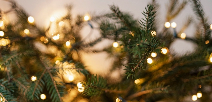 С наступающим Новым годом!