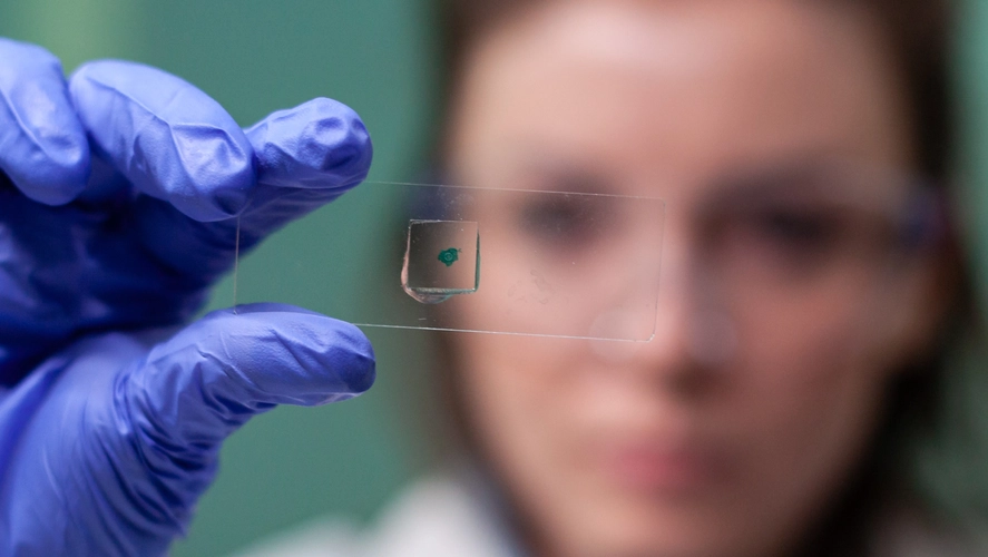 Как подготовиться к сдаче ДНК-теста?